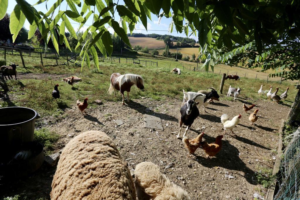 La Ferme Couderc Villa Castelnaud-de-Gratecambe Dış mekan fotoğraf