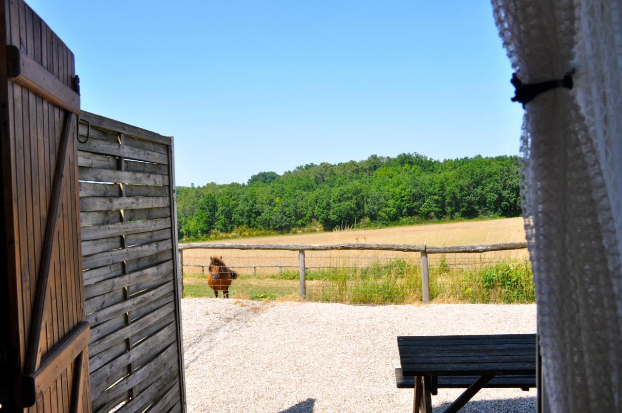 La Ferme Couderc Villa Castelnaud-de-Gratecambe Dış mekan fotoğraf